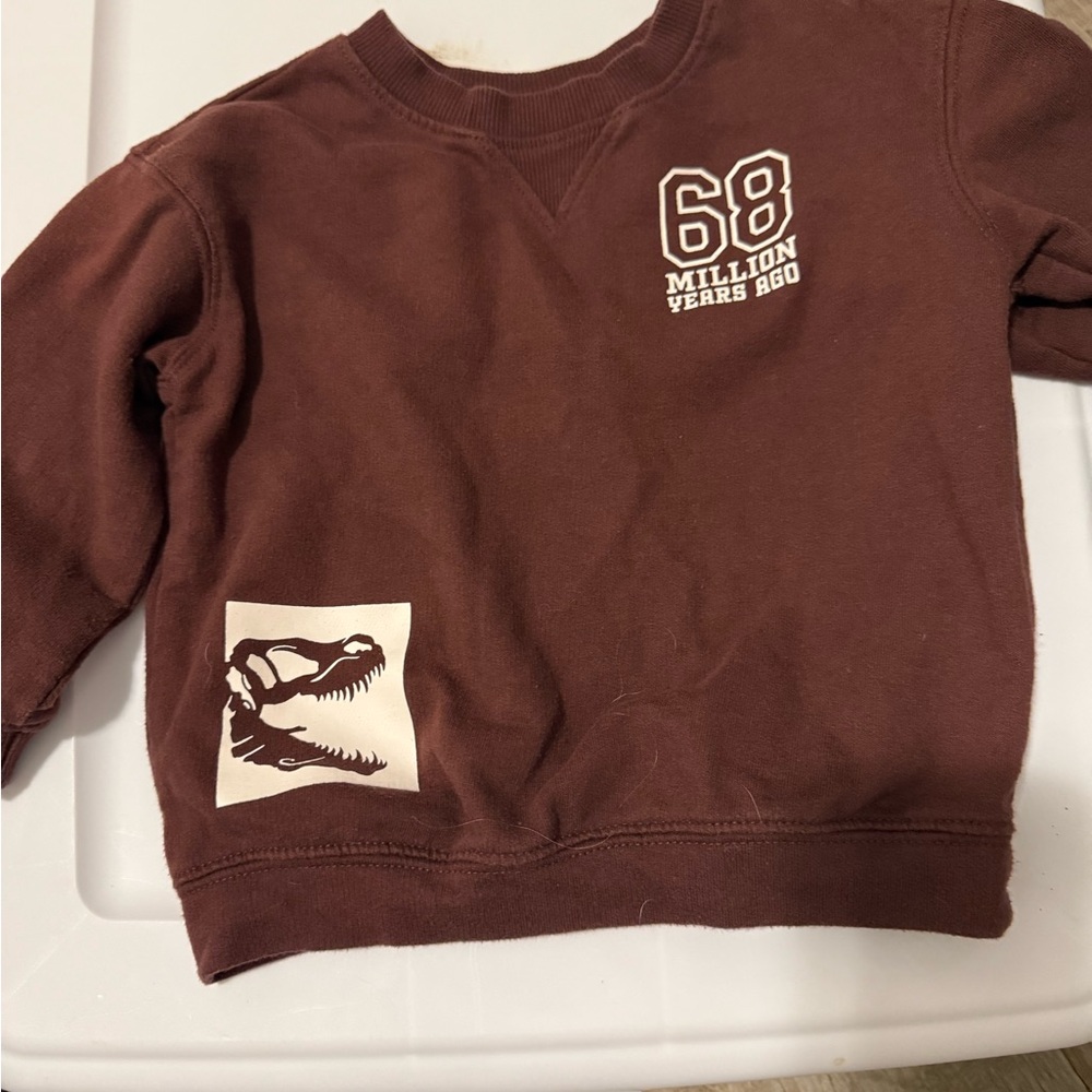 Dinosaur Kids Sweatshirt